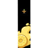 Figz XL Griptape pro Koloběžku - Tropical